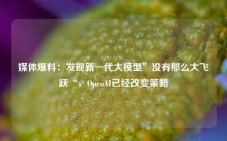 媒体爆料：发现新一代大模型”没有那么大飞跃“，OpenAI已经改变策略