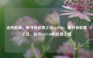 走向机遇，解开保彩票之谜65.97.80，揭开保彩票之谜，追寻65.97.80的机遇之路，揭秘保彩票之谜，追寻65.97.80的机遇之路