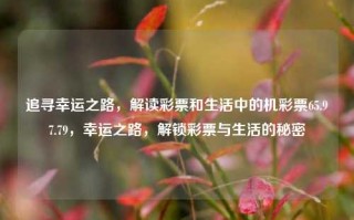 追寻幸运之路，解读彩票和生活中的机彩票65.97.79，幸运之路，解锁彩票与生活的秘密，解锁彩票与生活的秘密，追寻幸运之路