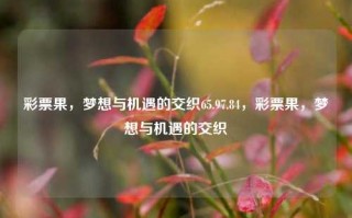 彩票果，梦想与机遇的交织65.97.84，彩票果，梦想与机遇的交织，彩票果，梦想与机遇的交织之旅