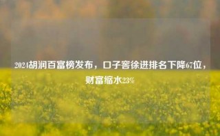 2024胡润百富榜发布，口子窖徐进排名下降67位，财富缩水23%