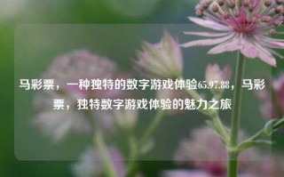 马彩票，一种独特的数字游戏体验65.97.88，马彩票，独特数字游戏体验的魅力之旅，马彩票，独特数字游戏体验的魅力之旅65.97.88