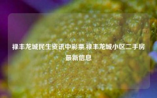 禄丰龙城民生资讯中彩票,禄丰龙城小区二手房最新信息