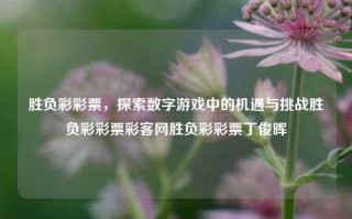 胜负彩彩票，探索数字游戏中的机遇与挑战胜负彩彩票彩客网胜负彩彩票丁俊晖