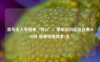 菜鸟无人车现身“双11”：单车日均运送包裹2000件 每票快递降本1毛