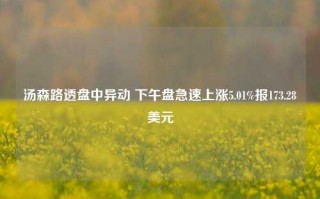 汤森路透盘中异动 下午盘急速上涨5.01%报173.28美元