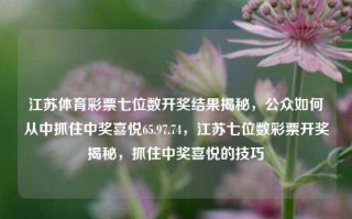 江苏体育彩票七位数开奖结果揭秘，公众如何从中抓住中奖喜悦65.97.74，江苏七位数彩票开奖揭秘，抓住中奖喜悦的技巧，江苏七位数彩票开奖揭秘，掌握技巧，享受中奖喜悦