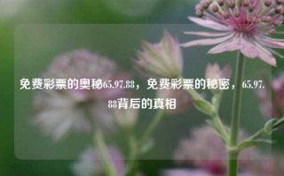 免费彩票的奥秘65.97.88，免费彩票的秘密，65.97.88背后的真相，免费彩票的奥秘与65.97.88背后的真相揭秘