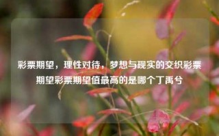 彩票期望，理性对待，梦想与现实的交织彩票期望彩票期望值最高的是哪个丁禹兮