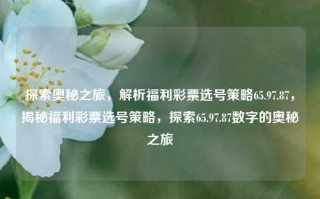 探索奥秘之旅，解析福利彩票选号策略65.97.87，揭秘福利彩票选号策略，探索65.97.87数字的奥秘之旅，福利彩票选号策略的奥秘探索，解读数字组合65.97.87背后的神秘旅程