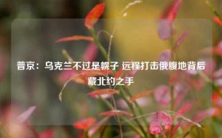 普京：乌克兰不过是幌子 远程打击俄腹地背后藏北约之手