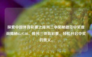 探索中国体育彩票之排列三中奖秘籍及中奖查询揭秘65.97.86，排列三体育彩票，轻松开启中奖的奥义。，揭秘排列三中奖秘籍，轻松开启体育彩票中奖的奥义