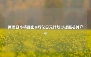 据悉日本将提出10万亿日元计划以提振芯片产业