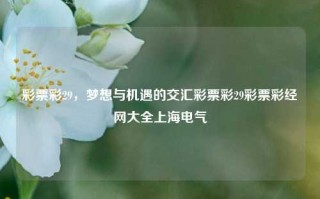 彩票彩29，梦想与机遇的交汇彩票彩29彩票彩经网大全上海电气