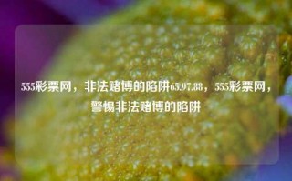 555彩票网，非法赌博的陷阱65.97.88，555彩票网，警惕非法赌博的陷阱，警惕555彩票网的非法赌博陷阱。