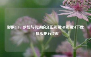 彩票518，梦想与机遇的交汇彩票518彩票51下载手机版炉石传说