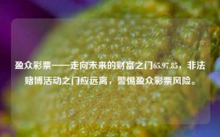 盈众彩票——走向未来的财富之门65.97.85，非法赌博活动之门应远离，警惕盈众彩票风险。，警惕盈众彩票风险，远离非法赌博活动之门65.97.85，守护未来财富之门。