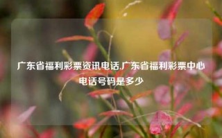 广东省福利彩票资讯电话,广东省福利彩票中心电话号码是多少