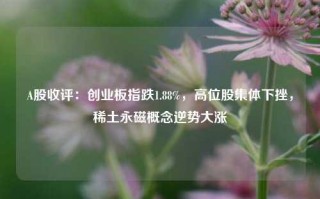 A股收评：创业板指跌1.88%，高位股集体下挫，稀土永磁概念逆势大涨