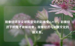 现象经济学尖状狐窑见的彩票鬼65.97.77，彩票经济下的鬼才破解现象，现象经济与彩票文化的新关系。，现象经济学视角下的彩票经济解析与破局之道