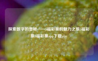 探索数字的奥秘——5福彩票的魅力之旅5福彩票5福彩票app下载play