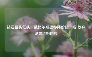 钻石巨头低头！戴比尔斯据称降价超一成 放弃设置价格防线