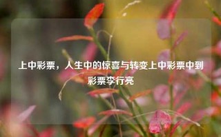 上中彩票，人生中的惊喜与转变上中彩票中到彩票李行亮