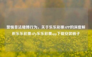 警惕非法赌博行为，关于乐乐彩票APP的深度解析乐乐彩票APp乐乐彩票app下载安装杨子