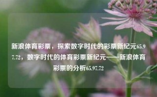 新浪体育彩票，探索数字时代的彩票新纪元65.97.72，数字时代的体育彩票新纪元——新浪体育彩票的分析65.97.72，新浪体育彩票引领数字时代的彩票革命新纪元，解析其发展和影响力 65.97.72