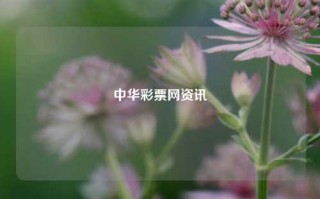 中华彩票网资讯