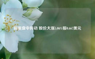 新蛋盘中异动 股价大涨5.06%报0.667美元