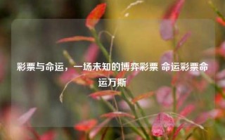 彩票与命运，一场未知的博弈彩票 命运彩票命运万斯