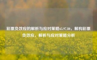 彩票负效应的解析与应对策略65.97.80，解构彩票负效应，解析与应对策略分析，彩票负效应解析与多维应对策略分析