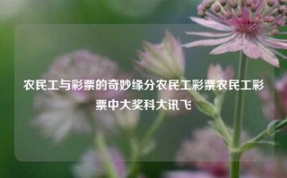 农民工与彩票的奇妙缘分农民工彩票农民工彩票中大奖科大讯飞