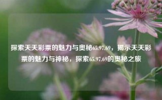 探索天天彩票的魅力与奥秘65.97.69，揭示天天彩票的魅力与神秘，探索65.97.69的奥秘之旅，探索天天彩票的魅力与神秘，65.97.69的奥秘之旅