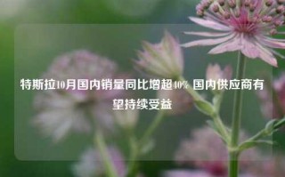 特斯拉10月国内销量同比增超40% 国内供应商有望持续受益