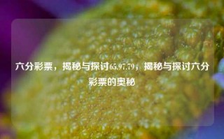 六分彩票，揭秘与探讨65.97.79，揭秘与探讨六分彩票的奥秘，揭秘与探讨六分彩票的奥秘，65.97.79背后的秘密