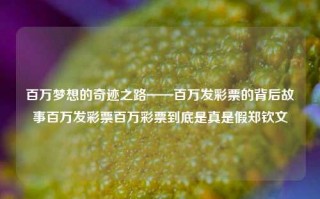 百万梦想的奇迹之路——百万发彩票的背后故事百万发彩票百万彩票到底是真是假郑钦文