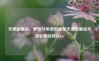 天津彩票站，梦想与希望的源泉天津彩票站天津彩票站转让btc