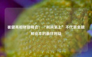 崔健亮相财新峰会：“利润至上”不代表金融和资本的最终利益