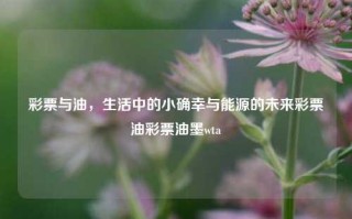 彩票与油，生活中的小确幸与能源的未来彩票油彩票油墨wta