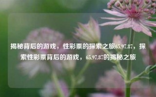 揭秘背后的游戏，性彩票的探索之旅65.97.87，探索性彩票背后的游戏，65.97.87的揭秘之旅，探索65.97.87，性彩票游戏背后的揭秘之旅