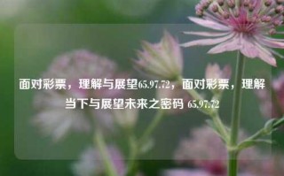 面对彩票，理解与展望65.97.72，面对彩票，理解当下与展望未来之密码 65.97.72，彩票之谜，理解当下与展望未来的密码 65.97.72