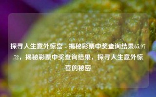 探寻人生意外惊喜 - 揭秘彩票中奖查询结果65.97.72，揭秘彩票中奖查询结果，探寻人生意外惊喜的秘密，揭秘中奖秘诀，探寻人生意外惊喜之彩票中的隐秘踪迹