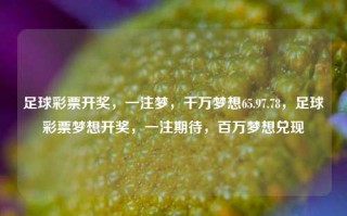 足球彩票开奖，一注梦，千万梦想65.97.78，足球彩票梦想开奖，一注期待，百万梦想兑现，足球彩票开奖，一注梦想，百万期待兑现的瞬间