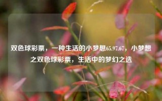 双色球彩票，一种生活的小梦想65.97.67，小梦想之双色球彩票，生活中的梦幻之选，双色球彩票，生活中的小梦想与梦幻之选