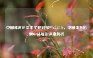 中国体育彩票中奖规则探析65.97.70，中国体育彩票中奖规则深度解析，中国体育彩票中奖规则深度解析与探讨，65.97.70视角下的研究