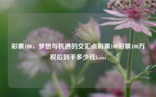 彩票100，梦想与机遇的交汇点彩票100彩票100万税后到手多少钱kimi