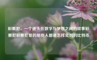 彩票犯，一个迷失在数字与梦想之间的故事彩票犯彩票犯罪的那些人都是怎样处罚的比特币