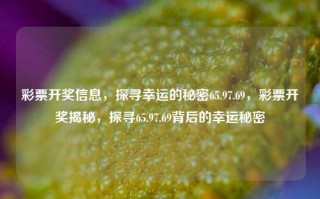 彩票开奖信息，探寻幸运的秘密65.97.69，彩票开奖揭秘，探寻65.97.69背后的幸运秘密，65.97.69幸运背后的彩票开奖揭秘